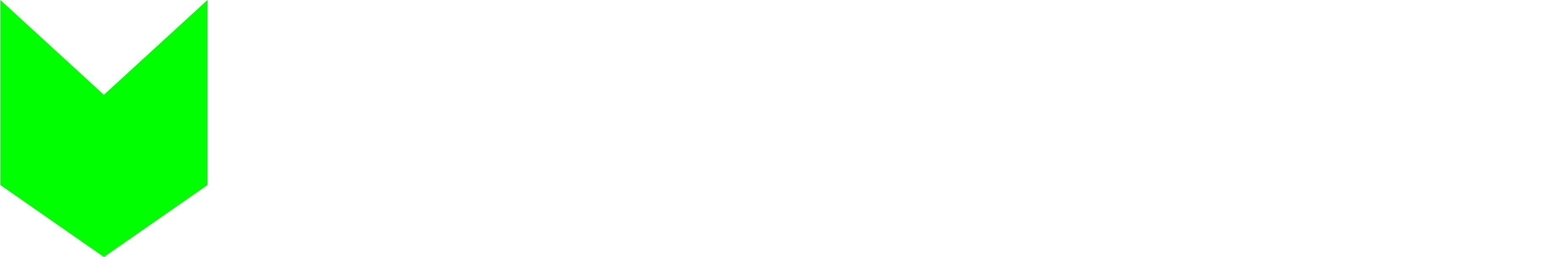 Logotype in header